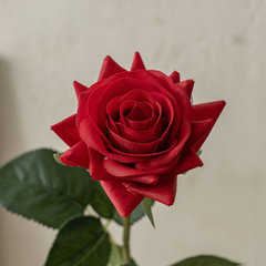 Moisturizing Rose Corner - 1 piece