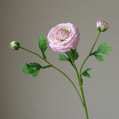 Fake high-end feel moisturizing lotion lotus peony-3