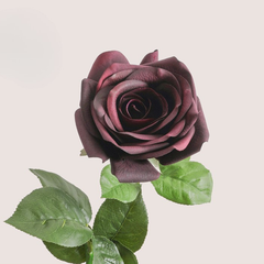 Moisturizing Corolla Rose - 1 piece