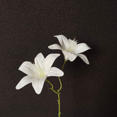 3D printed double-headed Sayuri imitation