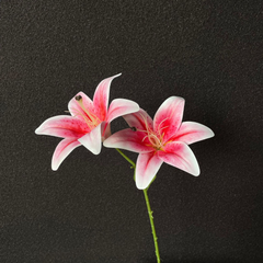 3D printed double-headed Sayuri imitation