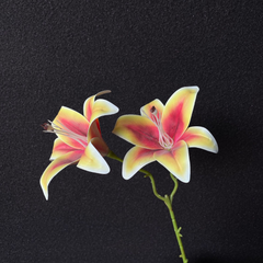 3D printed double-headed Sayuri imitation