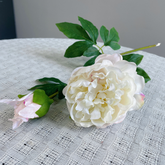 Moisturizing Peony Flower - 2 pieces