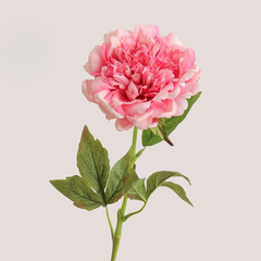 Moisturizing Peony