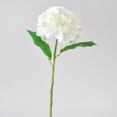 3D printed moisturizing crabapple hydrangea
