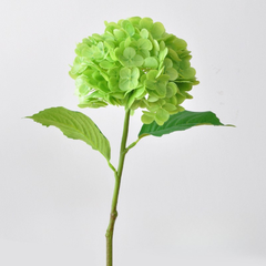 3D printed moisturizing crabapple hydrangea