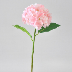 3D printed moisturizing crabapple hydrangea