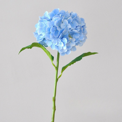 3D printed moisturizing crabapple hydrangea