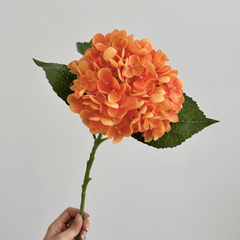 Moisturizing Hydrangea