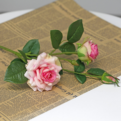 3 Three-headed curled moisturizing corner rose