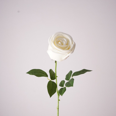 Single stem moisturizing crown rose