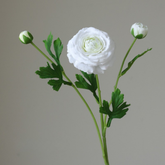 Fake high-end feel moisturizing lotion lotus peony-3