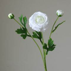 Fake high-end feel moisturizing lotion lotus peony-3