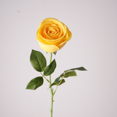 Single stem moisturizing crown rose