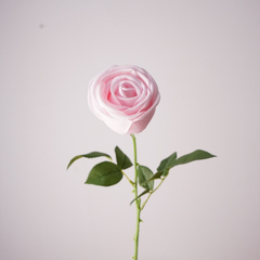Single stem moisturizing crown rose