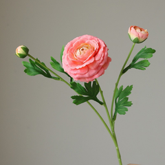 Fake high-end feel moisturizing lotion lotus peony-3