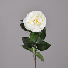 Austin Rose Moisturizing Hand-feel - 1 piece