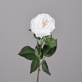 Austin Rose Moisturizing Hand-feel - 1 piece