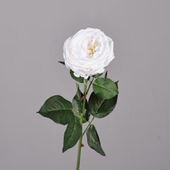 Austin Rose Moisturizing Hand-feel - 1 piece