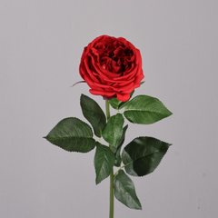 Austin Rose Moisturizing Hand-feel - 1 piece