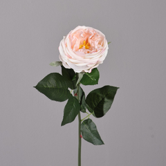 Austin Rose Moisturizing Hand-feel - 1 piece