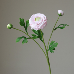 Fake high-end feel moisturizing lotion lotus peony-3