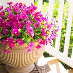 Real Touch Morning Glory Artificial Plant