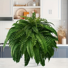 Outdoor Fake Boston Fern Plant