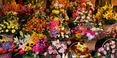 How to Choose Artificial Flowers & Plants for Your Business Space