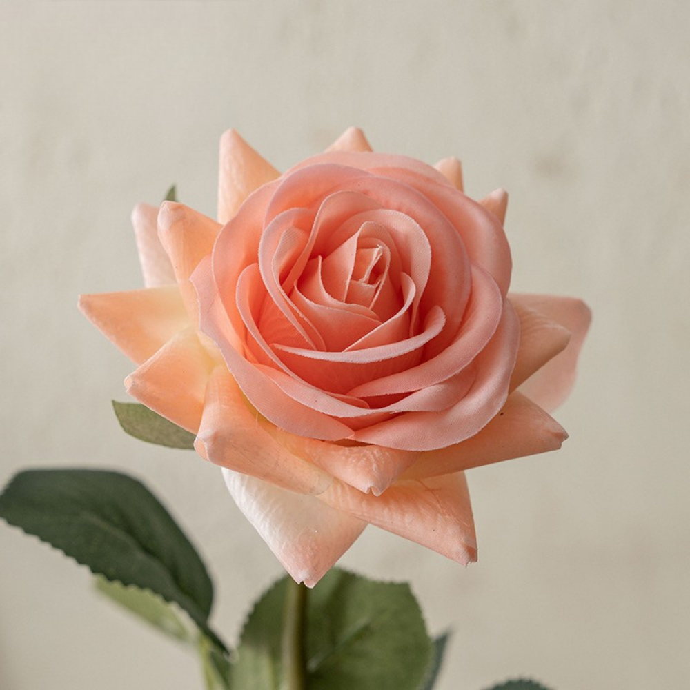 Moisturizing Rose Corner - 1 piece