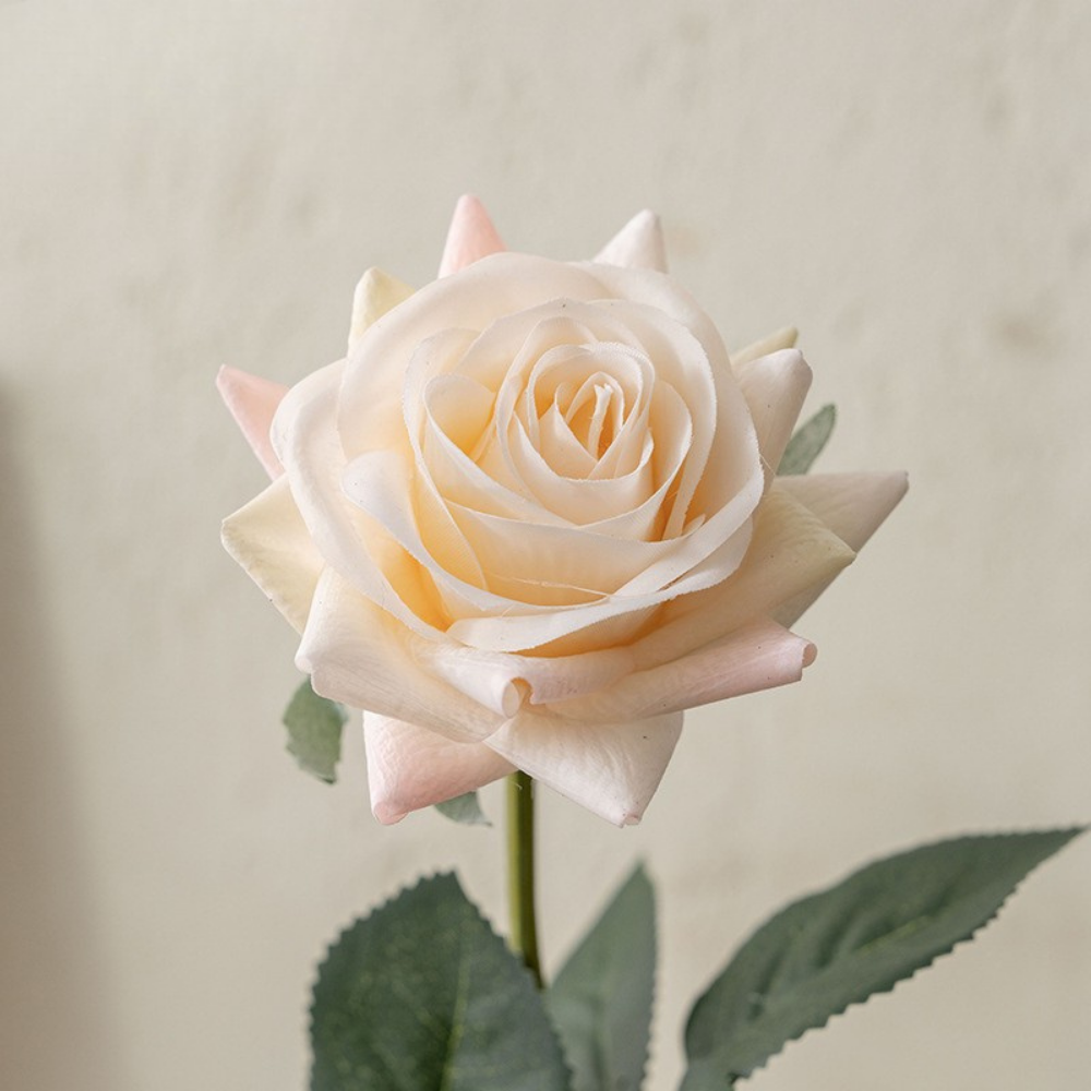 Moisturizing Rose Corner - 1 piece