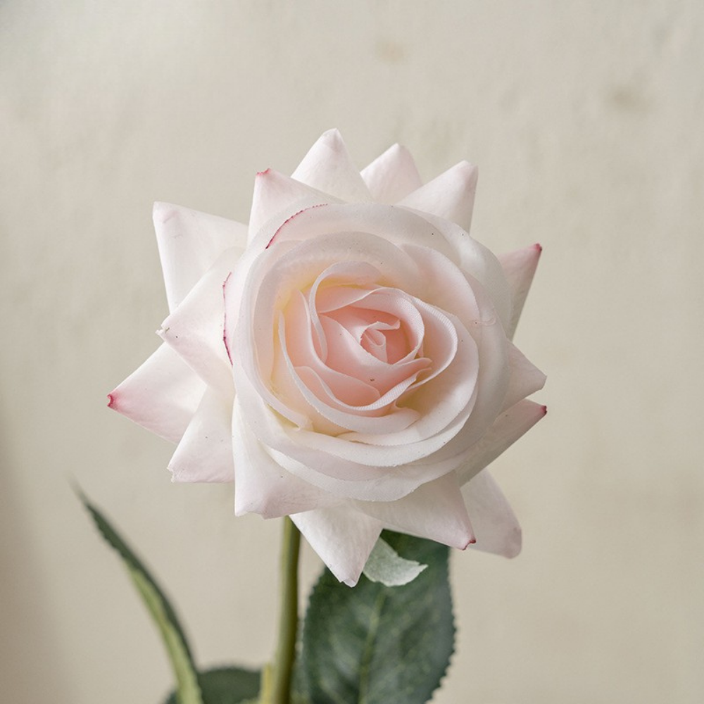 Moisturizing Rose Corner - 1 piece