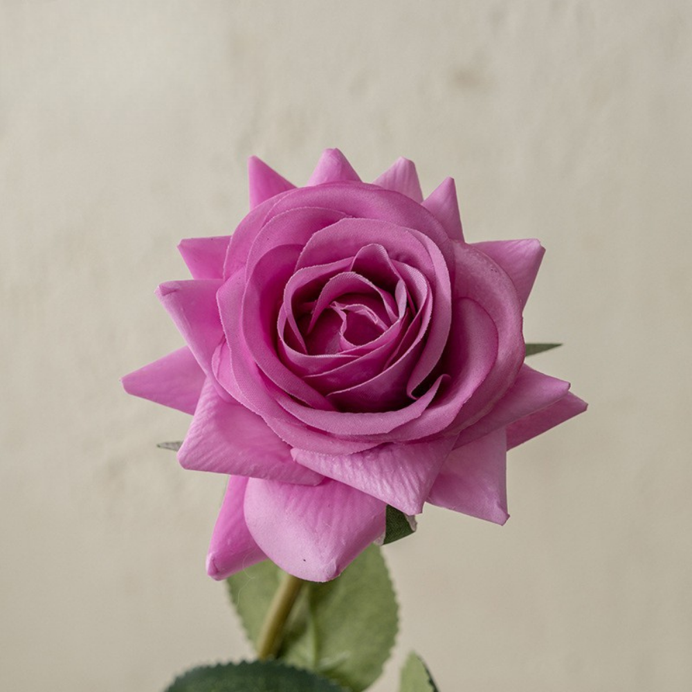 Moisturizing Rose Corner - 1 piece