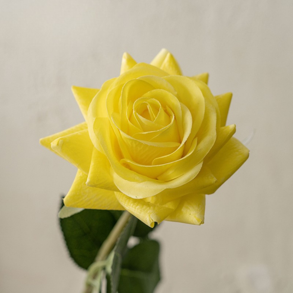 Moisturizing Rose Corner - 1 piece