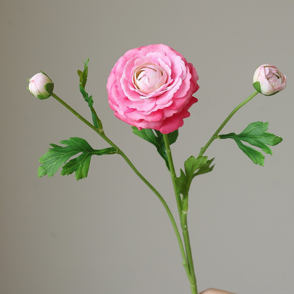 Fake high-end feel moisturizing lotion lotus peony-3