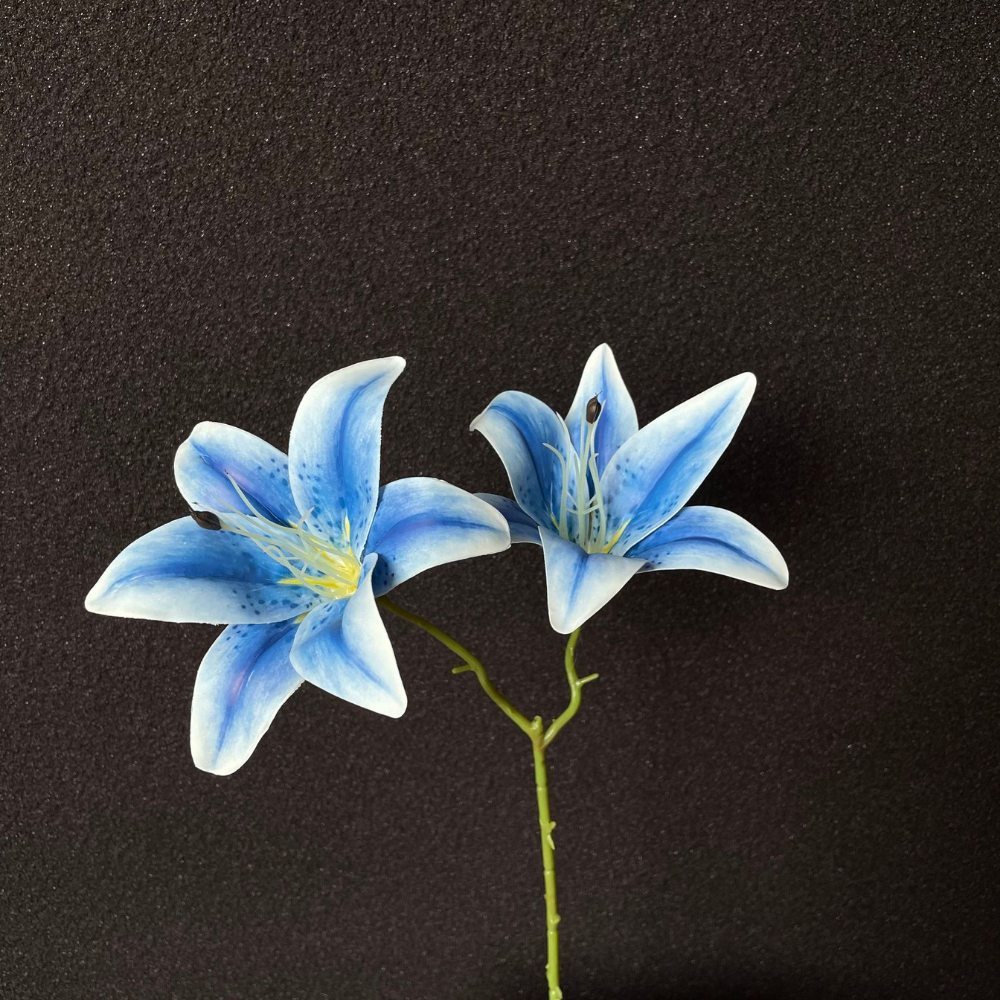 3D printed double-headed Sayuri imitation