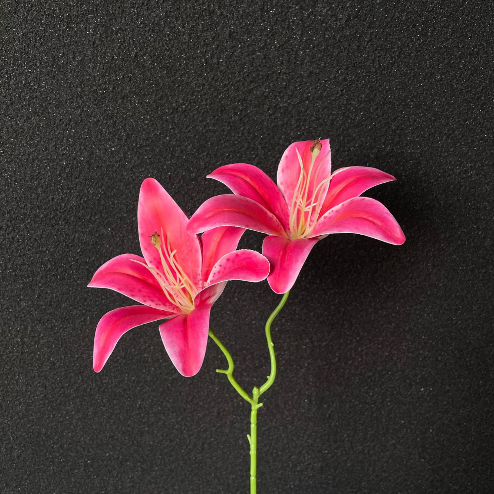 3D printed double-headed Sayuri imitation