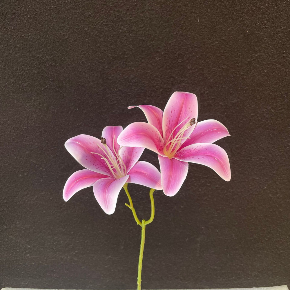 3D printed double-headed Sayuri imitation
