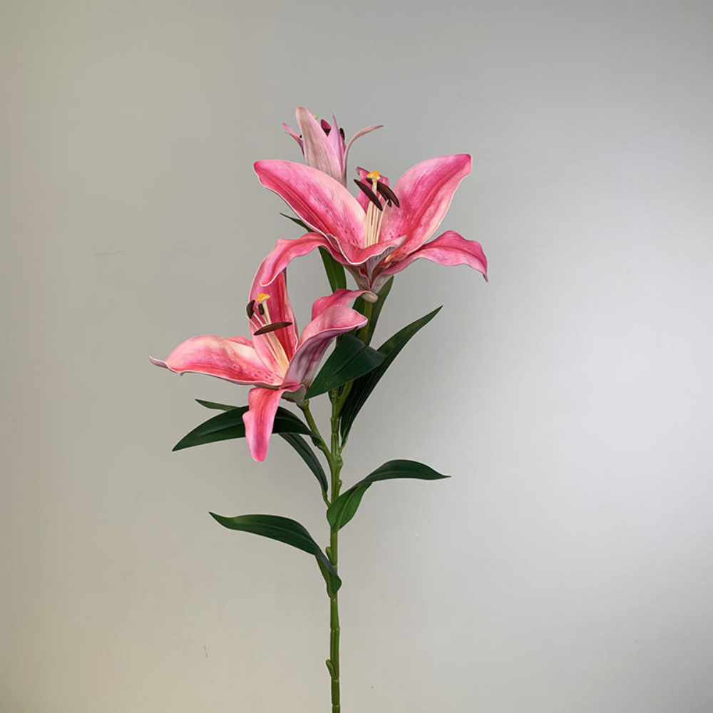 Realistic extra large fragrant lily