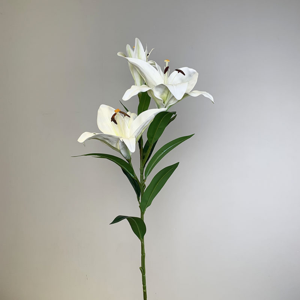 Realistic extra large fragrant lily