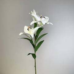 Realistic extra large fragrant lily