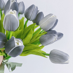 Mini Tulip