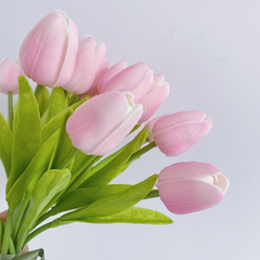 Mini Tulip