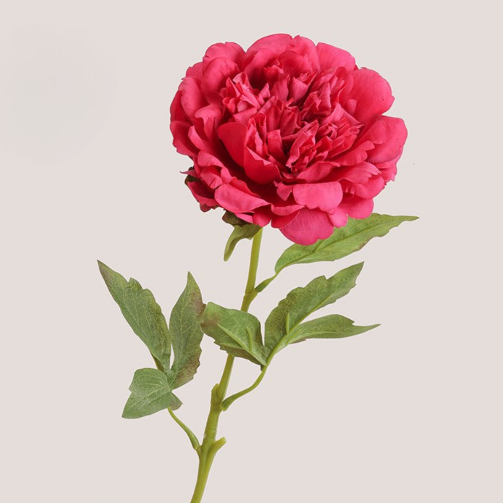 Moisturizing Peony
