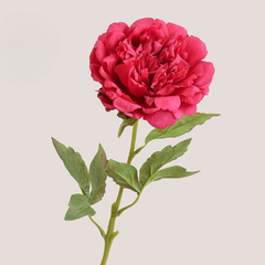 Moisturizing Peony