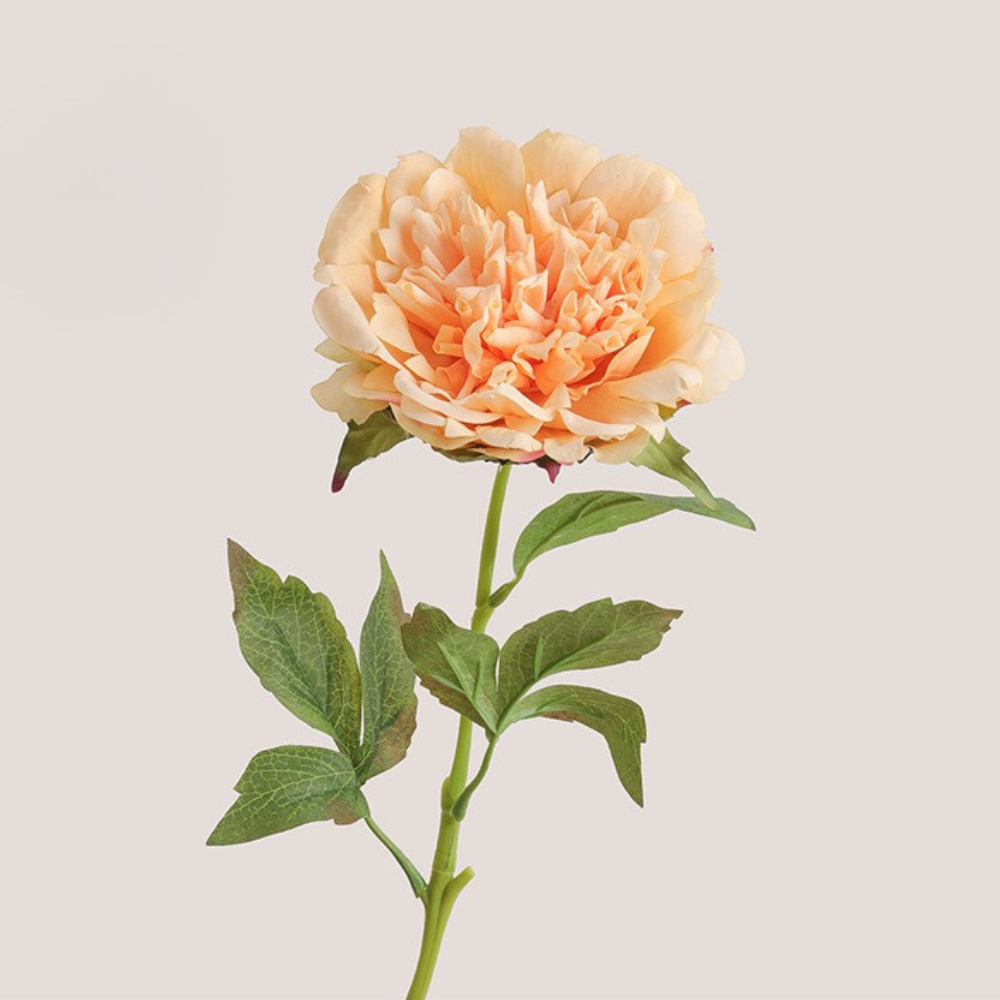Moisturizing Peony