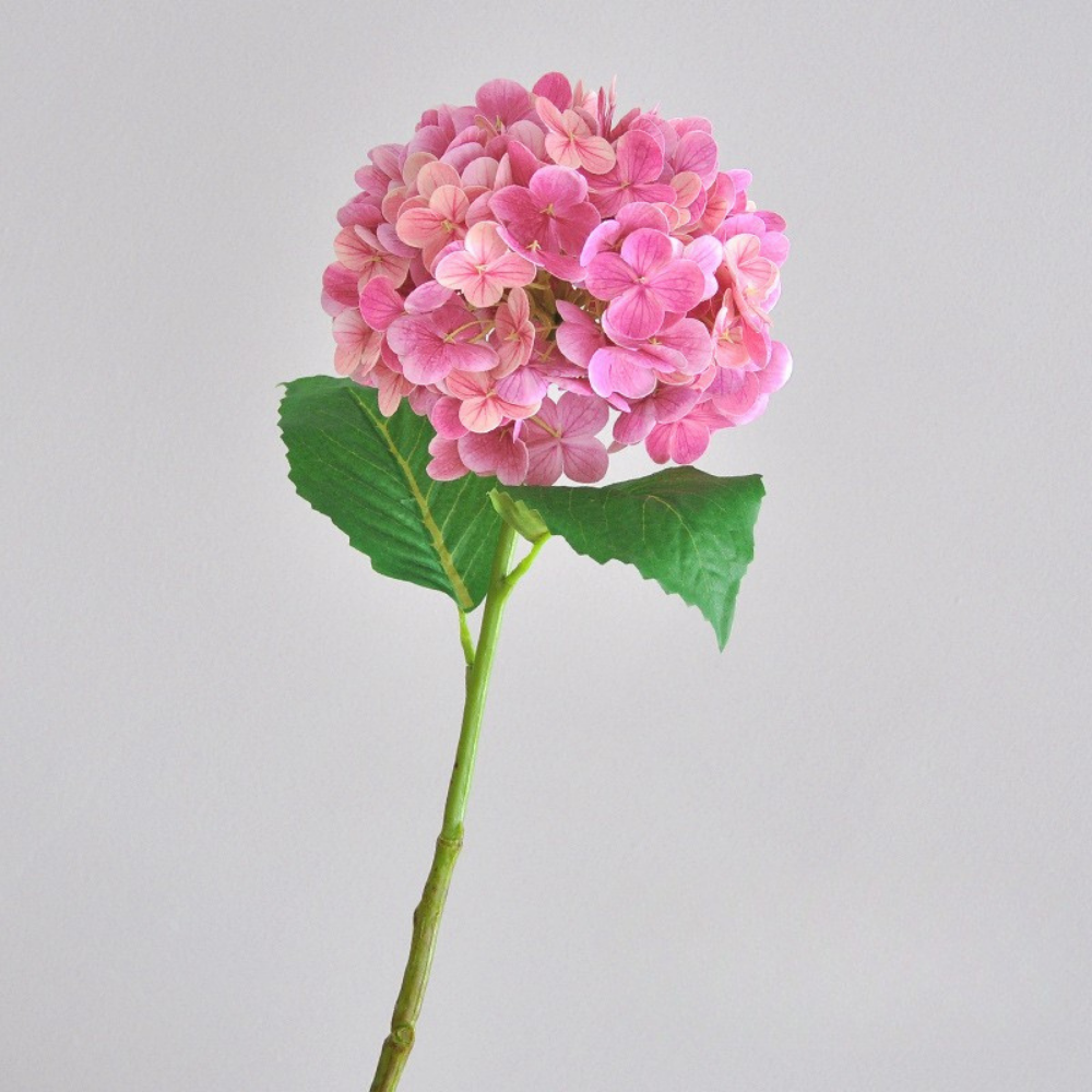 3D printed moisturizing crabapple hydrangea