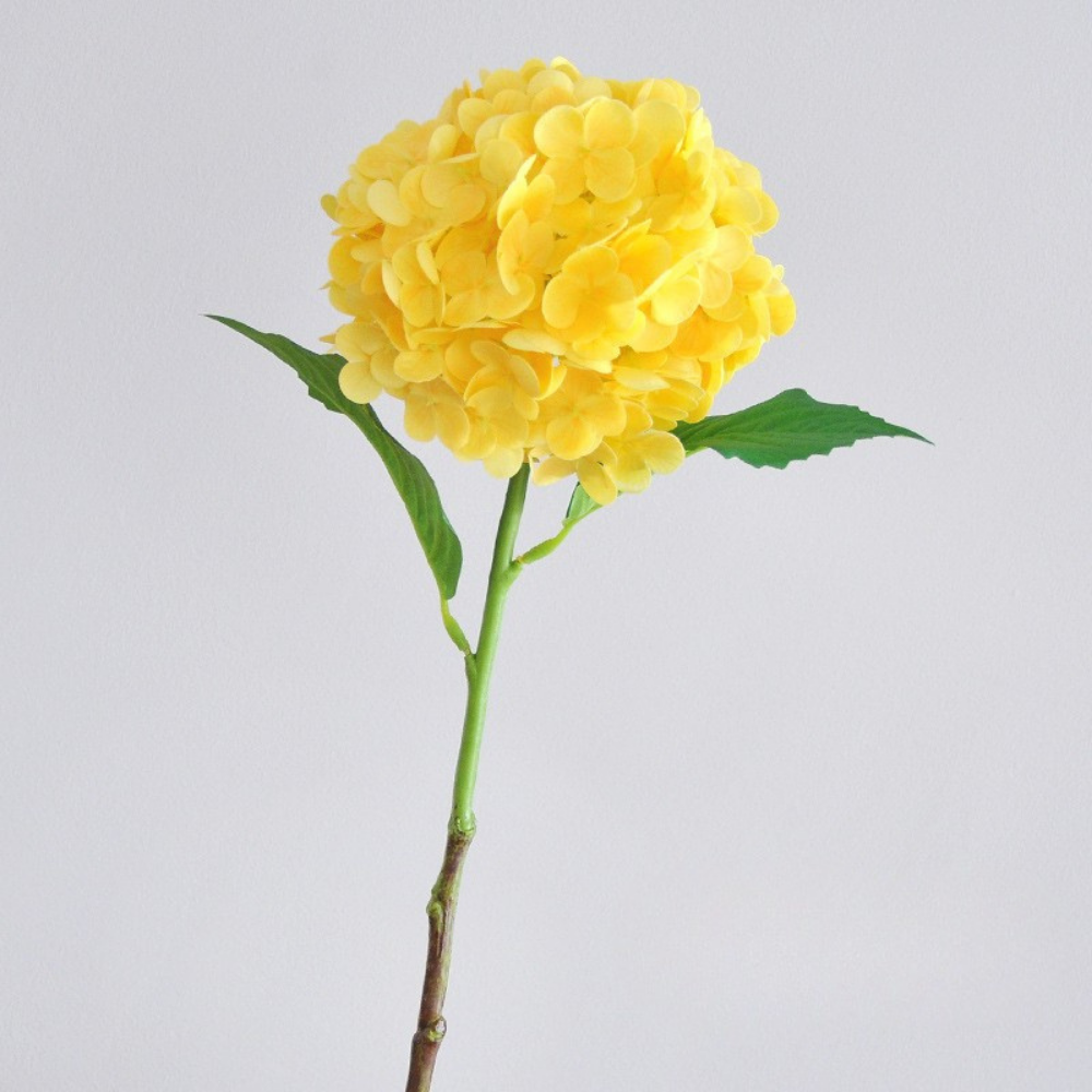 3D printed moisturizing crabapple hydrangea