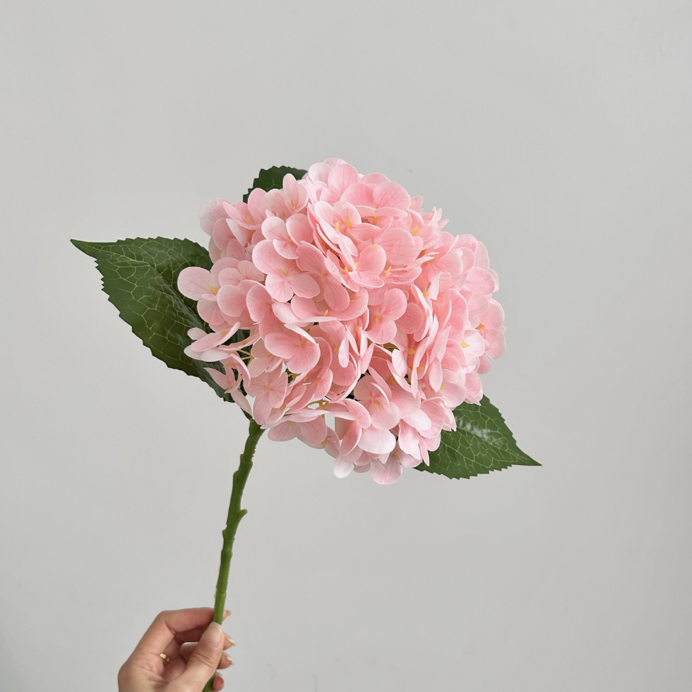 Moisturizing Hydrangea