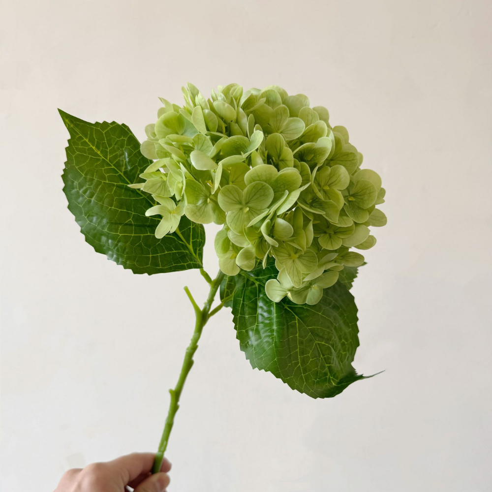 Moisturizing Hydrangea